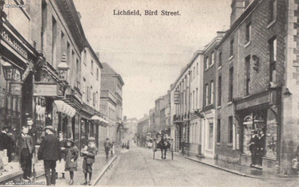 5 Postcards - Bird Street